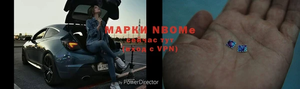 стафф Алзамай