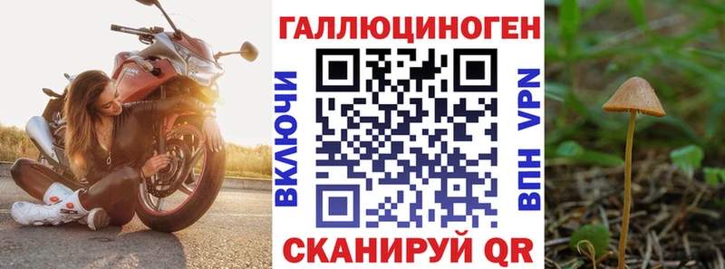 сайты даркнета какой сайт  Алексеевка  Галлюциногенные грибы Psilocybine cubensis  МЕГА ссылки 