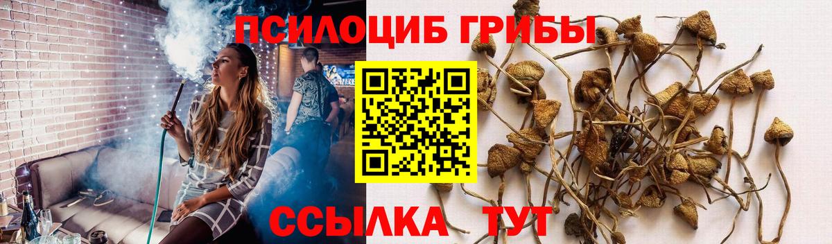 Галлюциногенные грибы мицелий  Вход с VPN  Алексеевка 