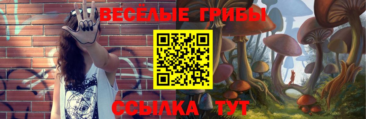 Галлюциногенные грибы мухоморы Алексеевка